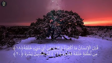 نبرة صوت فريده ماشاء الله صوت جميل جدا تقشعر له الأبدان 😮 القارئ   ضياء عبد القادر HD #القارئ