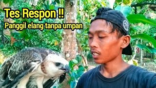 Melatih Che Lm yang dulu No skill | dan begini lah sekarang