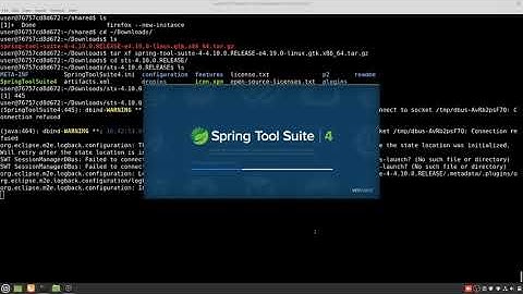 Create Spring Boot Web project with Spring Tool Suite (in docker)