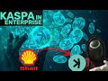 Get Ready for Kaspa's Massive Adoption! | Paul van Son, Kaspa Kii