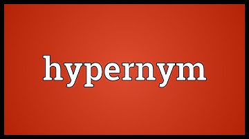 Hypernym Meaning
