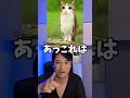 このブレインロットわかる?ミャウルなど