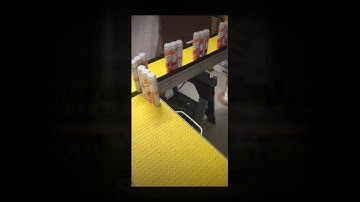 Modular Conveyors by Smartmove®