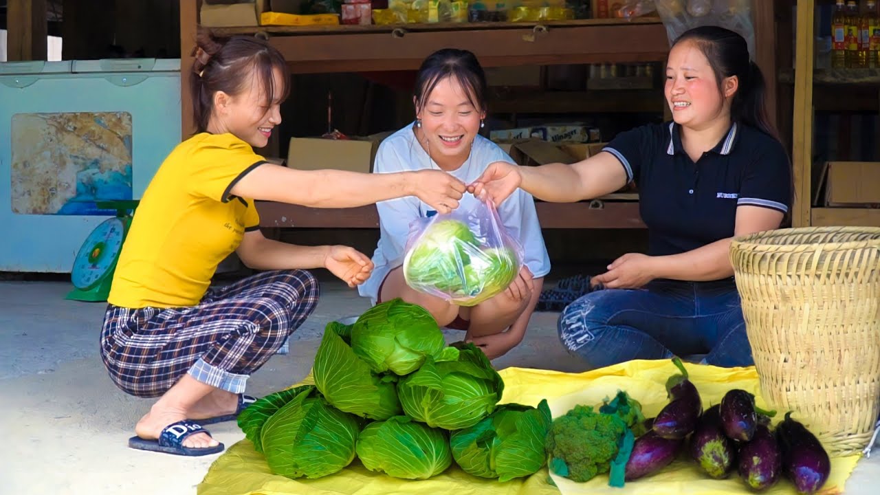 Harvest cabbage and eggplant gardens for sale, Grow new plants, choose