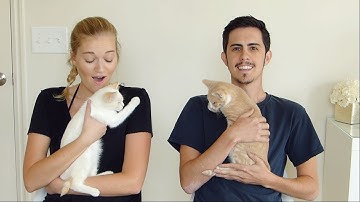 READING GREG TRIMBLE: YOU SHOULD NOT LEAVE MORMONISM FOR ANY OF THESE 5 REASONS