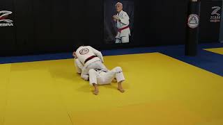 BJJ Basics: T-Position Foot Sweep 주짓수 주린이 기본기술: 발차기
