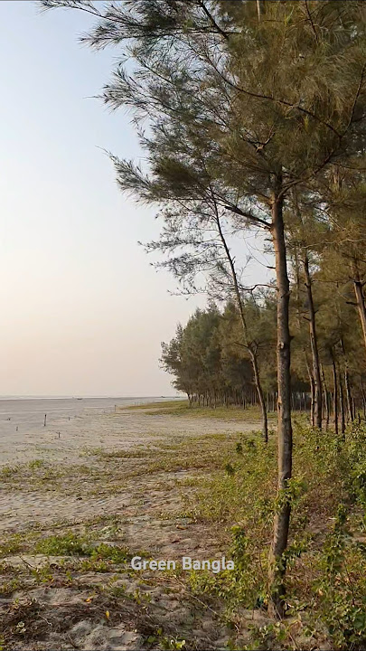 Cox's Bazar #life #lyrics #lyricvideo #caption #সব