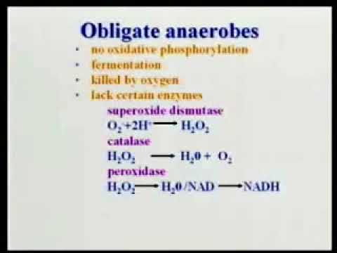 2.3. Nutrition Growth and Metabolism of Bacteria - Medical Microbiology