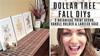 DOLLAR TREE Fall DIYs - 3 Botanical Prints & Labeled Vase