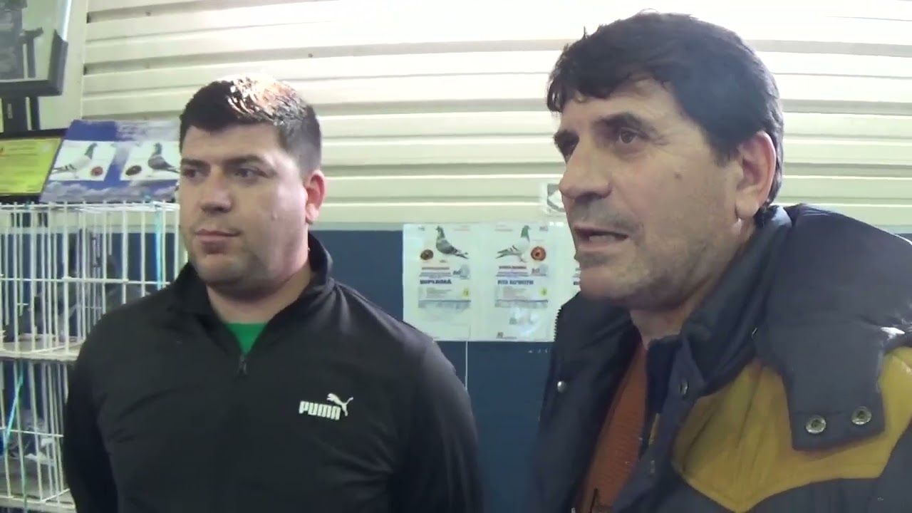 Interviu columbofil tandem Serban Bogdan si Costel Dambovita Romania 13 decembrie 2025