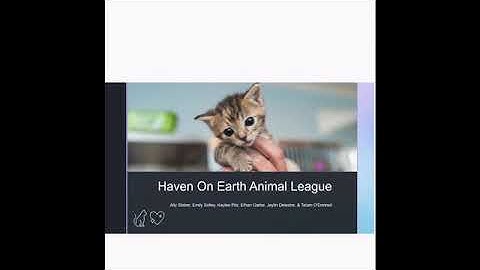 IDS 3300 project proposal presentation