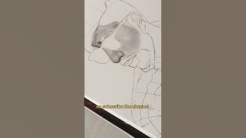 how draw nose and step by step shading video coming soon | #tutorial
