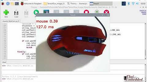 TensorFlow Lite Image Classify on Raspberry Pi Webcam Testing.