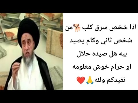 أذا شخص سرق كلب وصاد بيه هل صيده حلال ح12كتاب الصيد والذبائح سيد صباح شبر