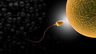 La Carrera De La Vida Mini Doental