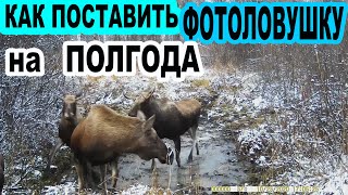 Как поставить фотоловушку на полгода