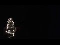 Connecticut Bird Feeder Live Stream