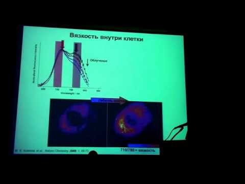 Куимова М.К. Флюоресцентные молекулярные роторы