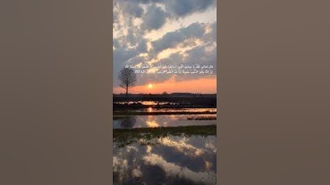 🌿✨سورة الزمر اية (53) القارئ : إسلام صبحي