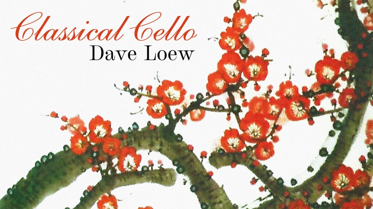 Watch Classical Cello - "Fun Fun Fun" by Dave Loew on YouTube Watch Classical Cello - "Fun Fun Fun" by Dave Loew on YouTube