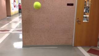 Celebrity Physics - Bouncing Ball Net Worth