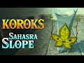 Zelda tears of the kingdom  all korok seeds sahasra slope tower locations 780  866