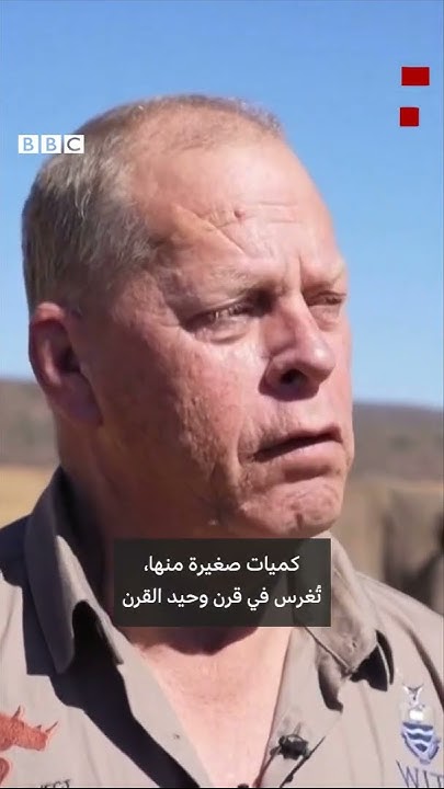         
 - نشر قبل 37 دقيقة