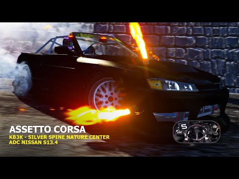 ASSETTO CORSA ›