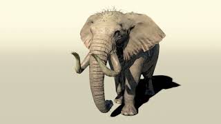 3D Elephant Animation..#3D animation#3D modeling,#animation#computer #maya#3d #creatureanimation