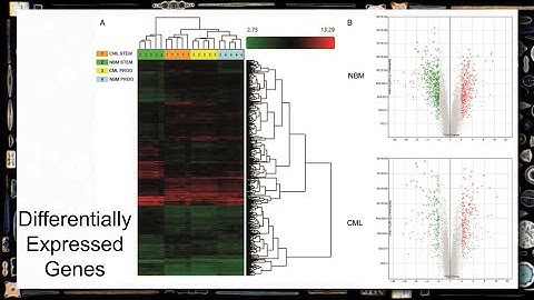 Expressão Gênica, Redes e Grafos de Conhecimento - Ciência|Visualização|Dados|Saúde