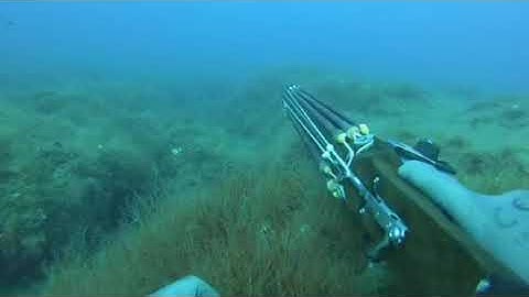 B Daniel single invert roller vs amberjack...