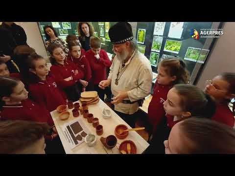 Arad: Leacuri dacice