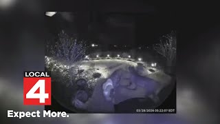 Attack on jogger leads police to track down dogs in Wayne County