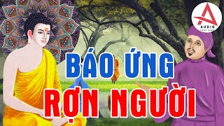 Kể Chuyện Đêm Khuya, 20 Câu Chuyện Nhân Quả Báo Ứng ĐÁNG SỢ Nghe Mỗi Đêm Để Giác Ngộ Thức Tỉnh