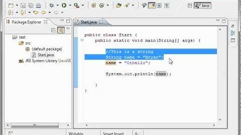 Java 6 -  Variables