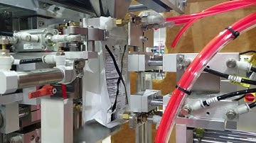 Coffee bean packing line(single head linear weigher+single head bagger)