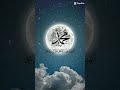 Arabic song & nabi muhammad saw 😇