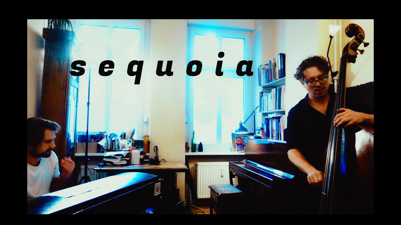 Sequoia- JOSHUA GINSBURG