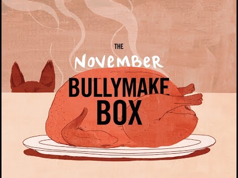 bullymake-box-nov-2017-unboxing-and-review/-coupon-code