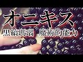 双子座の守護石オニキス（黒縞瑪瑙）の意味と魔術的能力｜黒猫魔術店