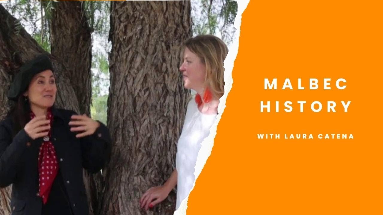 The history of Malbec in Argentina with Laura Catena