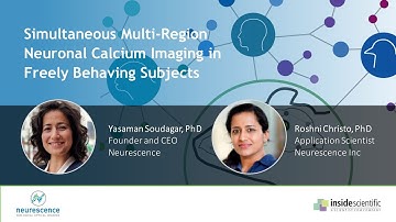 Simultaneous Multi-Region Neuronal Calcium Imaging in Freely Behaving Subjects
