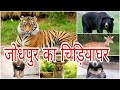 🐊🐆🦁 Jodhpur Zoo | चिड़ियाघर🐢🐇 || Machia Biological Park jhodhpur || माचिया बायोलॉजिकल पार्क