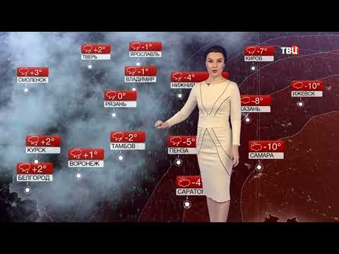 Смотреть прогноз погоды на 22.2.2024, видео погода НТВ, ТВЦ, Гидрометцентр России