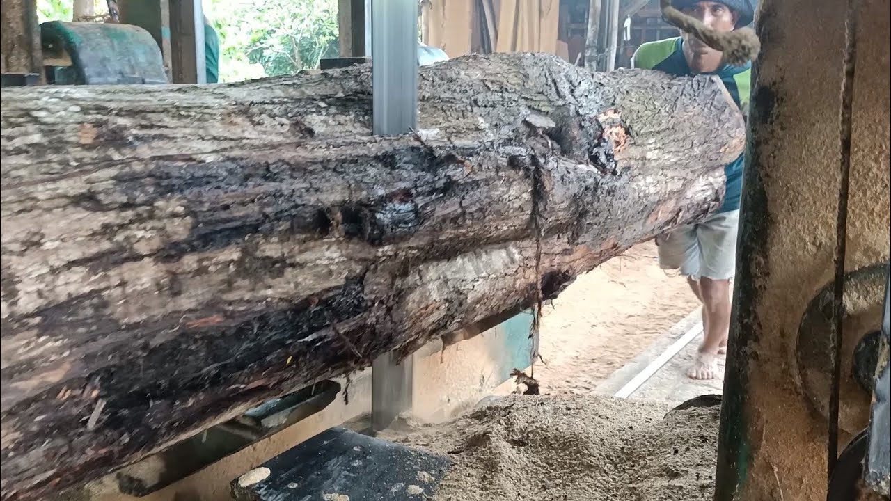 proses penggergajian kayu  akasia  ukuran 8 12 4 part 5 