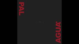 J Balvin & Ryan Castro - Pal Agua                                       #NewMusic2026 #TrendingMusic