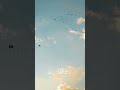 اغنية مسلسل ستيلتو بصوت فرح شريم اكسبلور