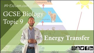 Food Chain Energy Transfer and Loss - GCSE Biology (9-1) 9.8B