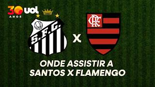 SANTOS X FLAMENGO: ONDE ASSISTIR À TRANSMISSÃO AO VIVO DO JOGO E HORÁRIO