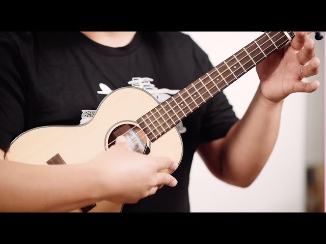 カラーコードで学べる人気ウクレレアプリ|Musopia Oy Kala Ukulele チューナー&レッスン